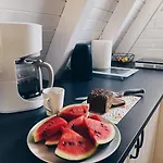Letniskowy Dario *