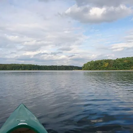 Letniskowy Dario